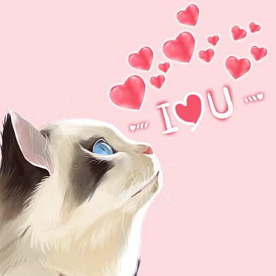 微信头像小猫咪粉色简约微信头