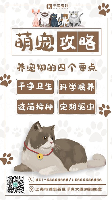萌宠攻略喵星人白色系可爱风海报