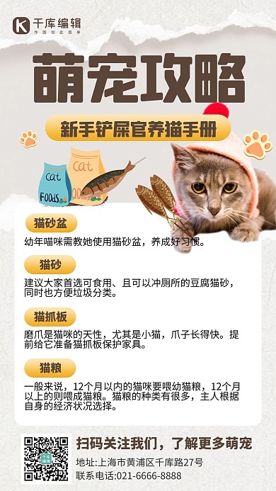 宠物攻略猫浅灰色创意手机海报