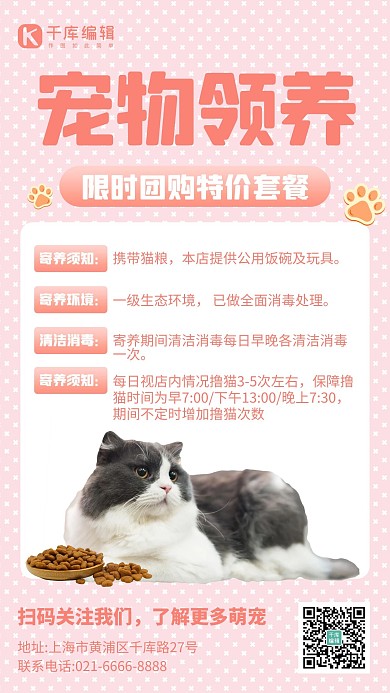 宠物领养猫粉色创意手机海报
