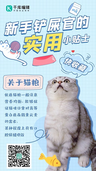 宠物攻略可爱猫咪蓝色清新海报