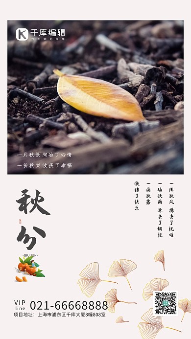 秋分秋叶白色创意海报 文艺海报