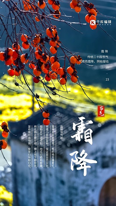 霜降摄影图蓝色极简海报 霜降节气