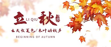 立秋枫叶彩色简约公众号首图