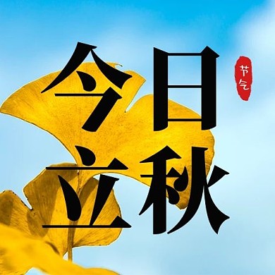 今日立秋天空银杏叶蓝色公众号次图