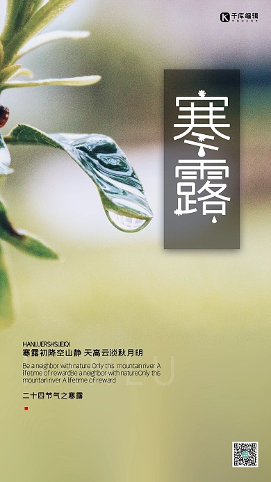 寒露叶子绿色创意节气海报