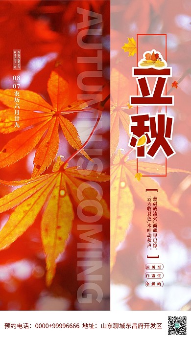 立秋节气枫叶红色简约海报