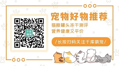 宠物好物推荐小花猫橙色卡通 关注二维码