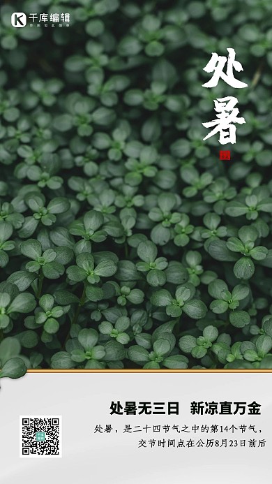 处暑节气绿叶绿色摄影图海报