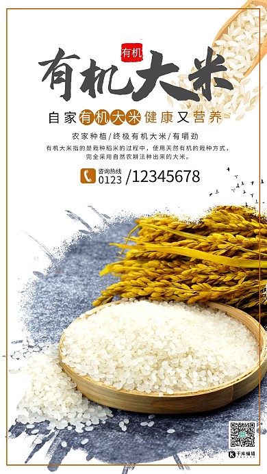 食品促销特产有机大米浅色系简约海报