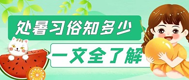处暑习俗节日节气绿色卡通公众号首图