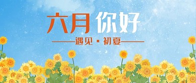 初夏向日葵蓝色清新公众号首图 六月你好