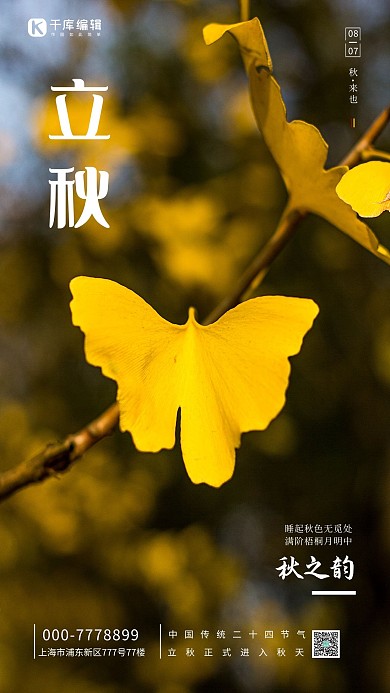 节气摄影图叶子植物棕色大气创意海报