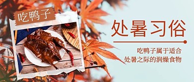 处暑习俗吃鸭子棕色简约公众号首图