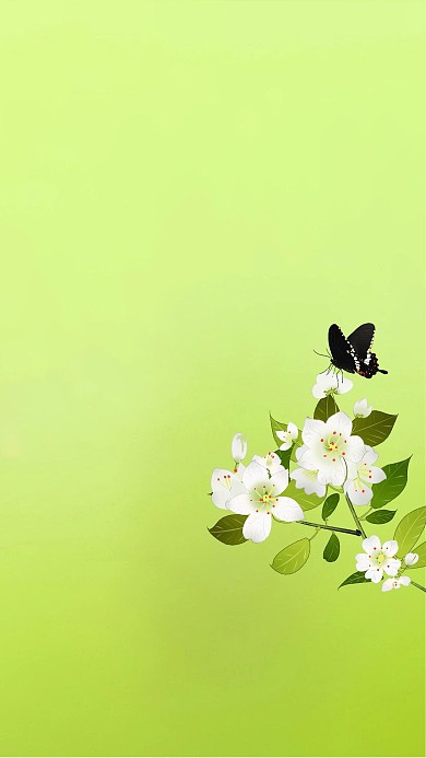 绿色春天梨花手机壁纸背景