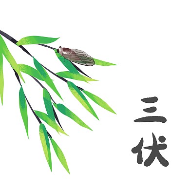高温三伏末伏出伏蝉