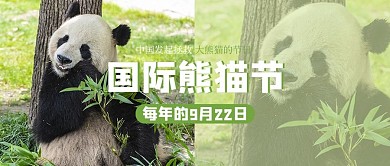 国际熊猫节熊猫绿色简约公众号首图