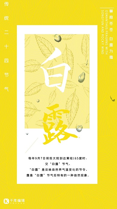 黄色树叶白露节气宣传海报