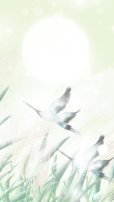 千库编辑原创白露芦苇绿色清新