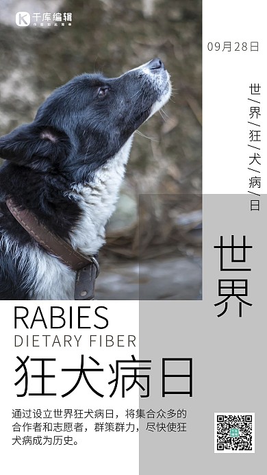 世界狂犬病日简约风世界狂犬病日白色简约风手机海报