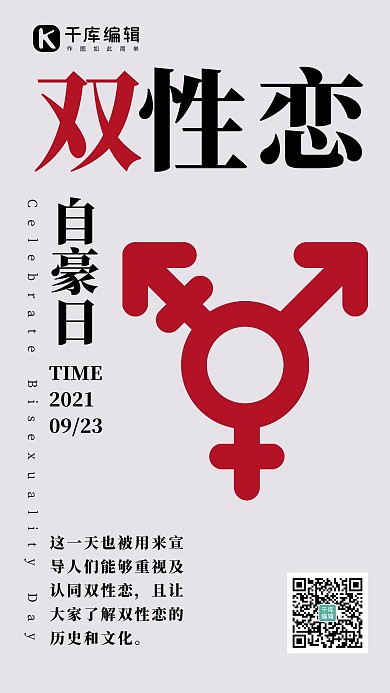 双性恋自豪日简约风双性恋自豪日灰色简约风手机海报