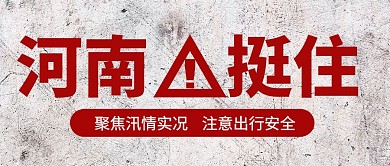 河南挺住郑州加油封面图