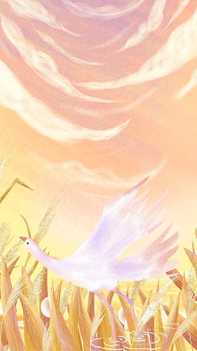 白露白露节气渐变插画暖色调背景