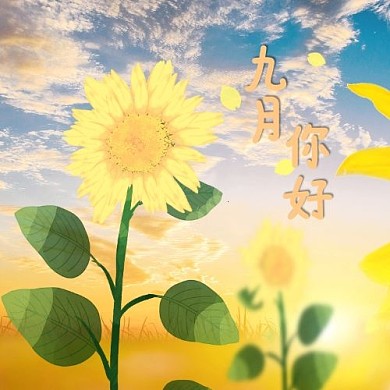 九月你好问候向日葵