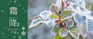 霜降节气树叶绿色摄影公众号首图