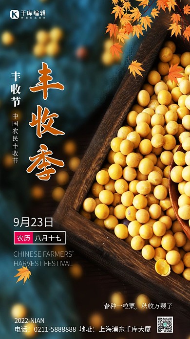 中国农民丰收季大豆黄色简约海报
