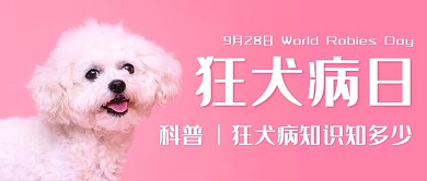 狂犬病知识知多少粉色简约公众号首图