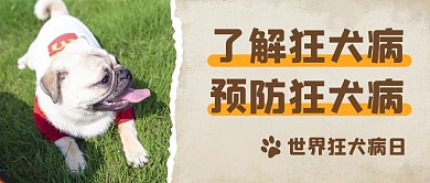 狂犬病日了解预防狂犬病彩色简约公众号首图