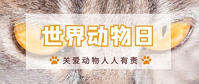 世界动物保护日简约公众号首图