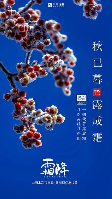 霜降红果结霜蓝色简约海报