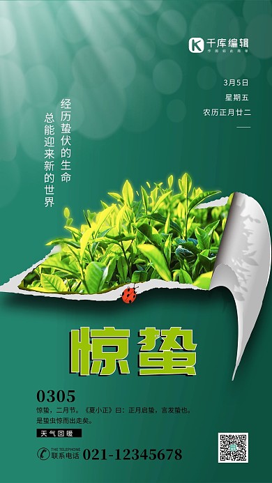 惊蛰节气绿色茶叶简约大气海报