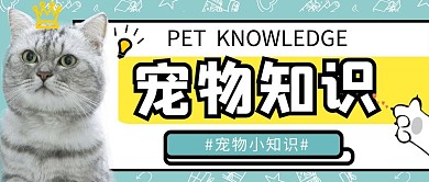 宠物猫咪可爱创意公众号封面首图