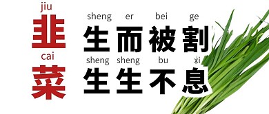 韭菜趣味简约可爱公众号封面首图 