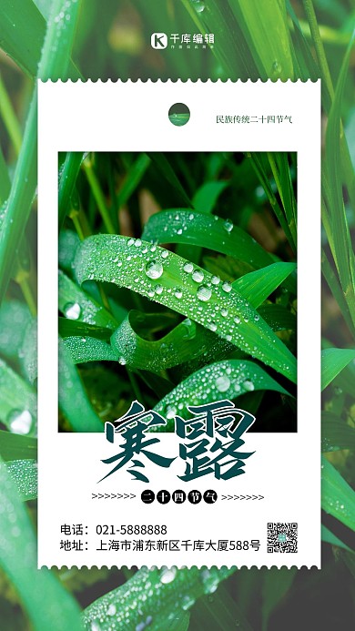 寒露节气秋天绿色简约海报