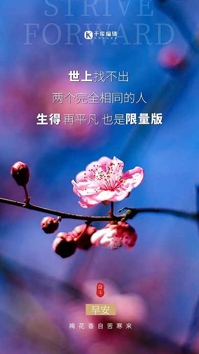 励志梅花蓝色摄影图海报