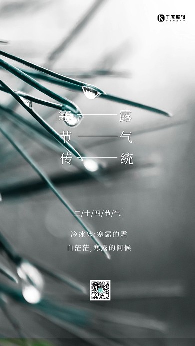 寒露水珠灰色创意海报