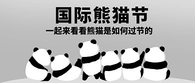 国际熊猫节熊猫是如何过节的可爱公众号首图