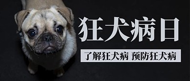 狂犬病日预防狂犬病狗狗灰色简约公众号首图