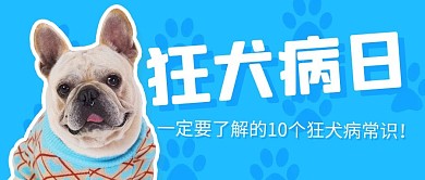 狂犬病日一定要了解的常识蓝色简