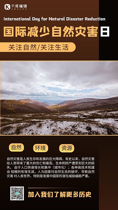 国际减少自然灾害日摄影图褐色商务风手机海报