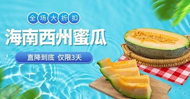 折扣海南蜜瓜水果蓝色简约电商横版海报