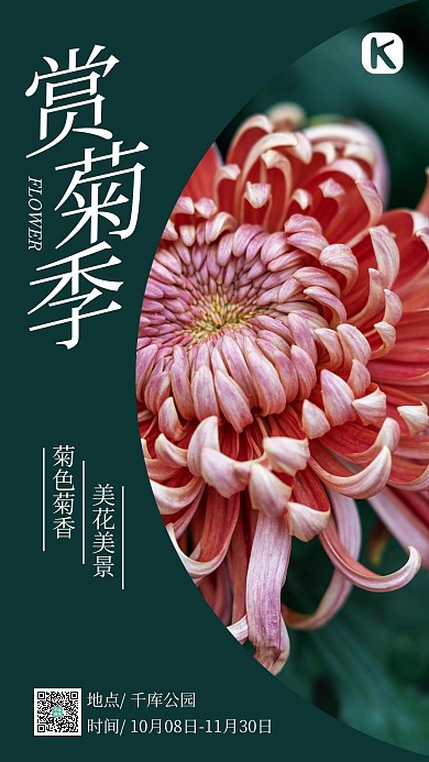 赏菊菊花深绿色简约 海报