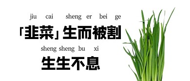 韭菜趣味简约搞笑公众号封面首图