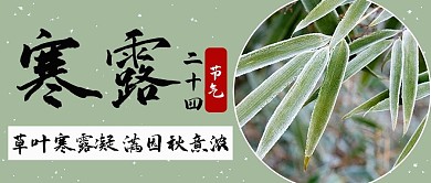 寒露二十四节气青色竹子简约公众号首图