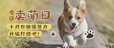 卖萌日摄影风卖萌日黄色大气简约风公众号首图