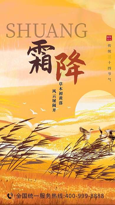 霜降芦苇渐变海报